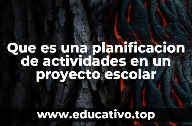 Que es una planificacion de actividades en un proyecto escolar