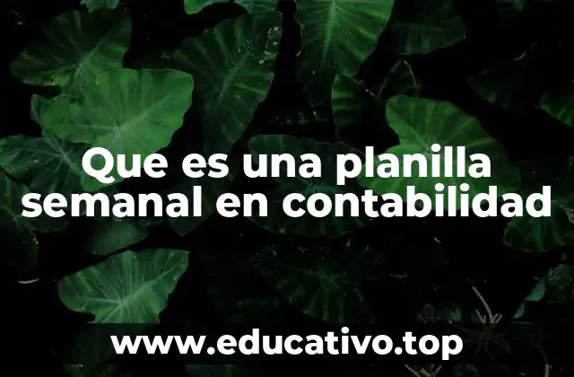 La importancia de estructurar los registros contables de forma semanal