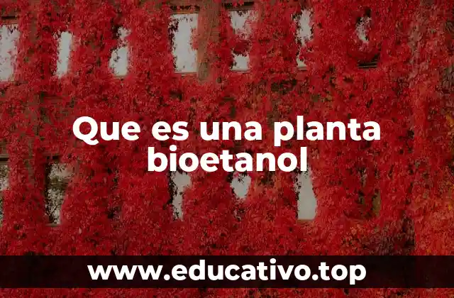 La importancia de las plantas bioetanol en la economía sostenible