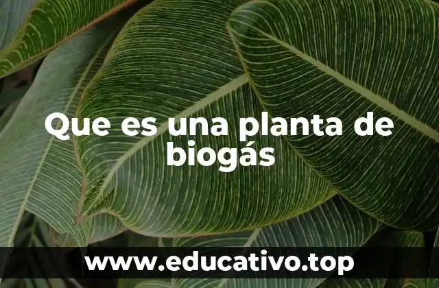 Que es una planta de biogás