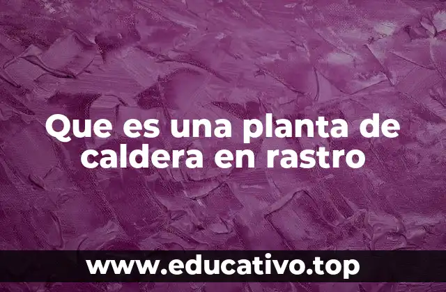 Que es una planta de caldera en rastro