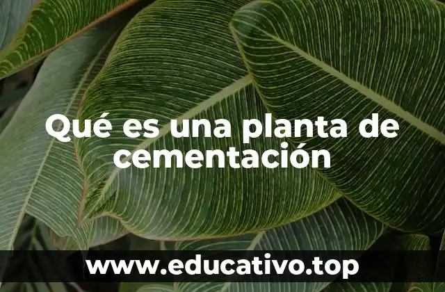 Qué es una planta de cementación
