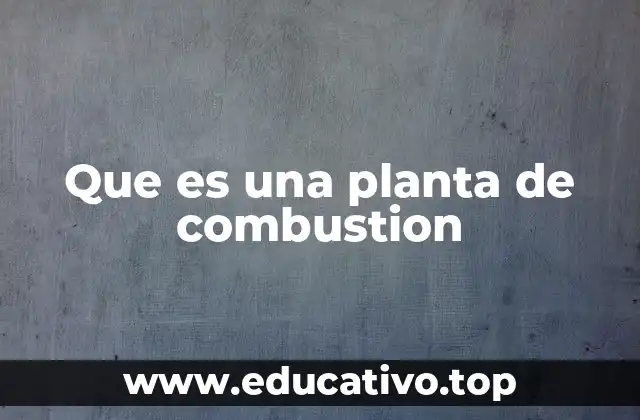El funcionamiento de las centrales basadas en combustión
