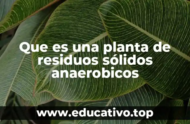 Que es una planta de residuos sólidos anaerobicos