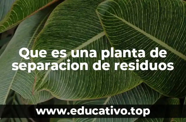 Que es una planta de separacion de residuos