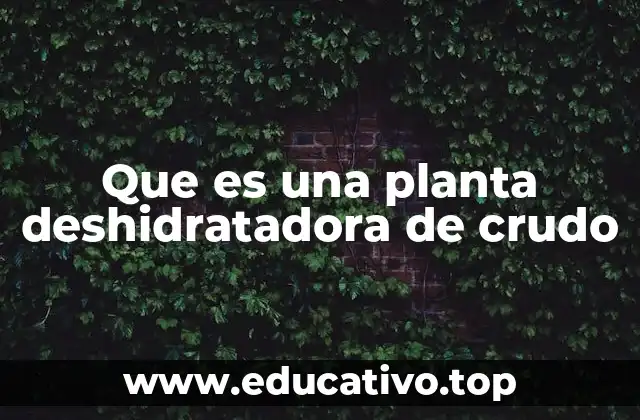 Que es una planta deshidratadora de crudo