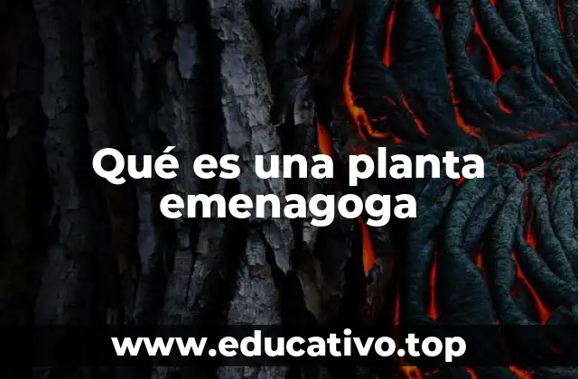 Qué es una planta emenagoga