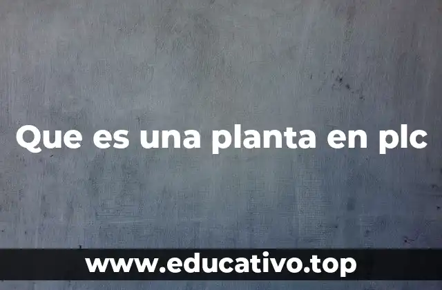 Que es una planta en plc