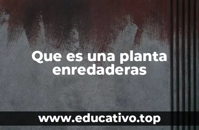 El crecimiento de las plantas que se aferran a otros soportes
