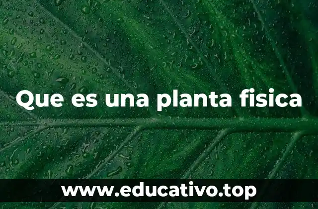 El papel de las instalaciones industriales en la economía