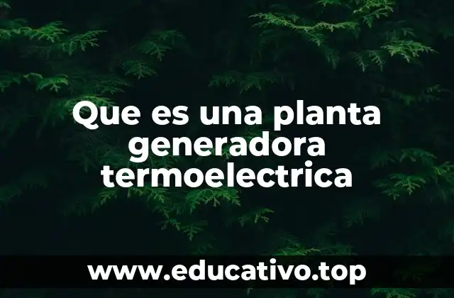 Que es una planta generadora termoelectrica
