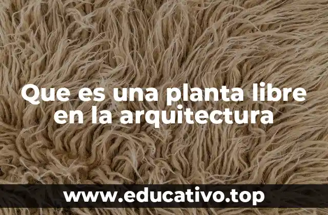 Que es una planta libre en la arquitectura