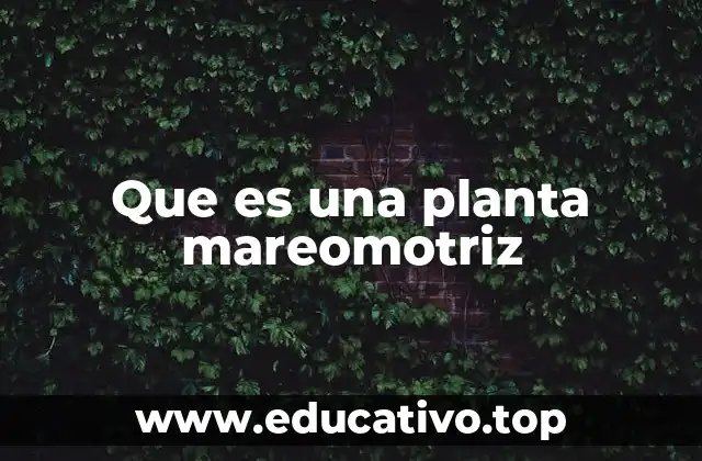 Cómo funciona la energía de las mareas