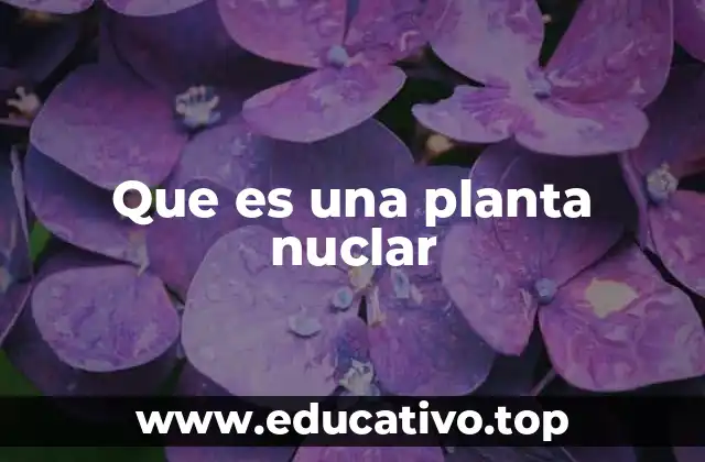 Que es una planta nuclar