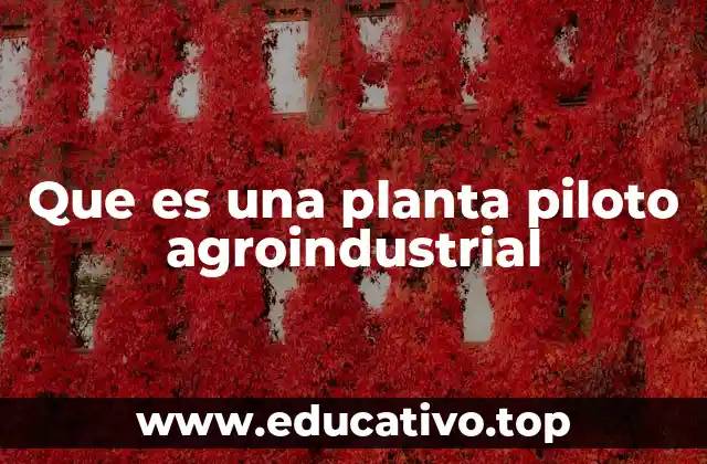Que es una planta piloto agroindustrial