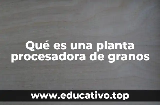 Qué es una planta procesadora de granos