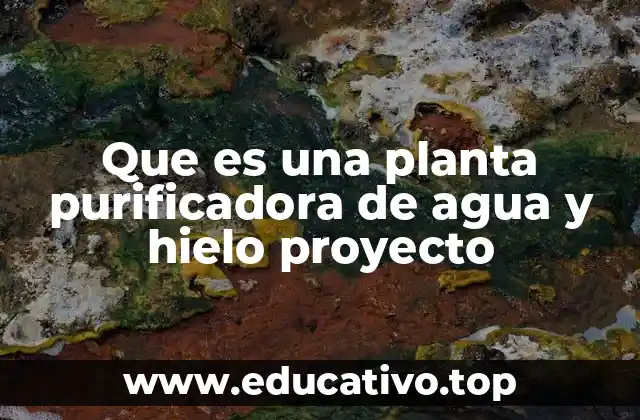 Que es una planta purificadora de agua y hielo proyecto