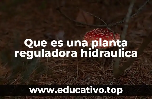 Componentes esenciales de una planta reguladora hidraulica