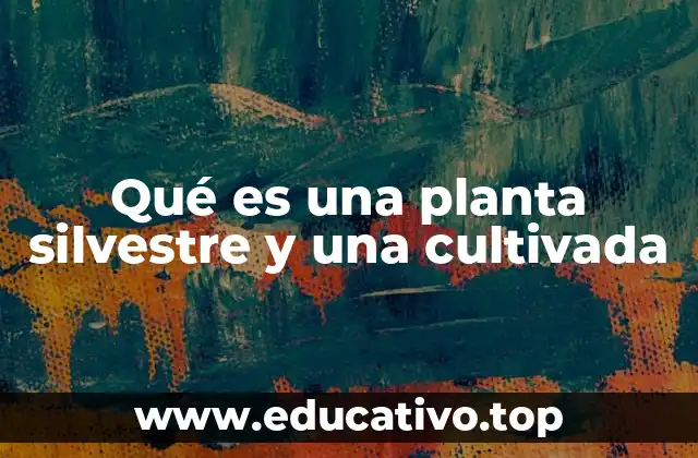 Qué es una planta silvestre y una cultivada