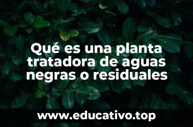 Qué es una planta tratadora de aguas negras o residuales