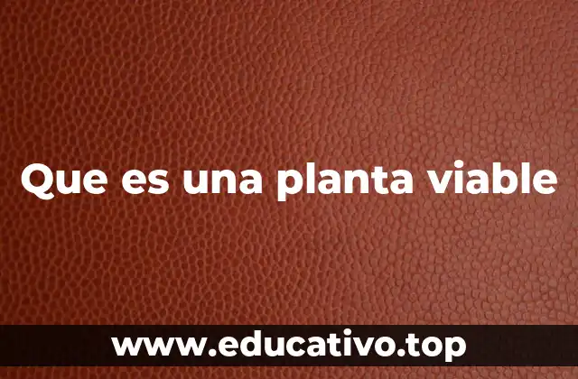 Que es una planta viable