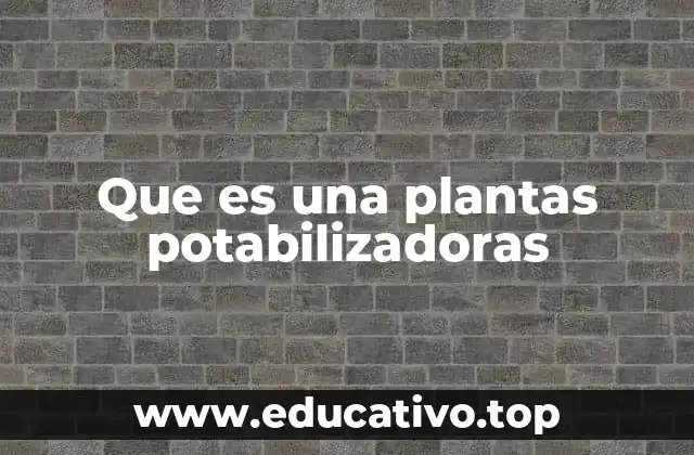 Que es una plantas potabilizadoras