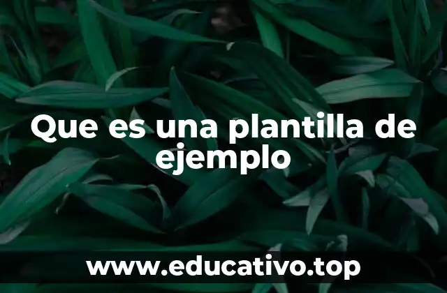 Que es una plantilla de ejemplo