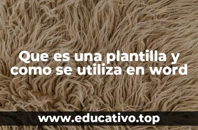 Que es una plantilla y como se utiliza en word