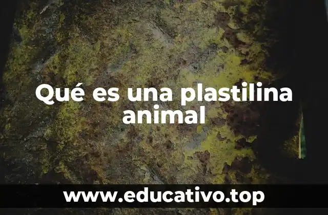 Qué es una plastilina animal
