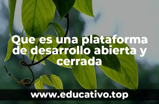 Que es una plataforma de desarrollo abierta y cerrada