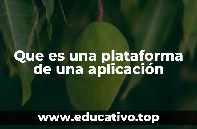 Que es una plataforma de una aplicación