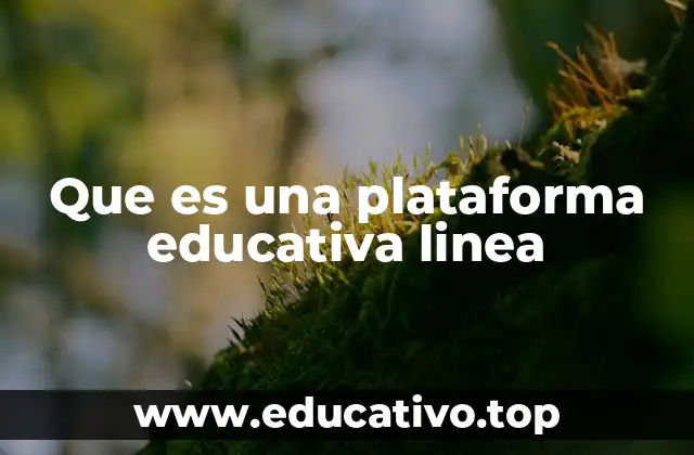Que es una plataforma educativa linea