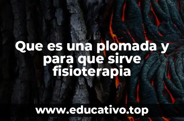 Que es una plomada y para que sirve fisioterapia
