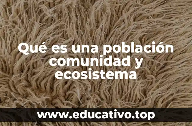 Qué es una población comunidad y ecosistema