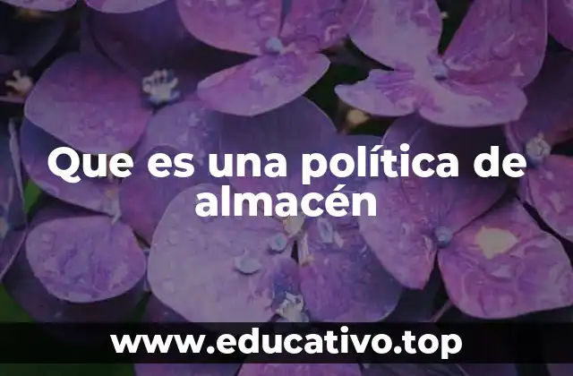 Que es una política de almacén