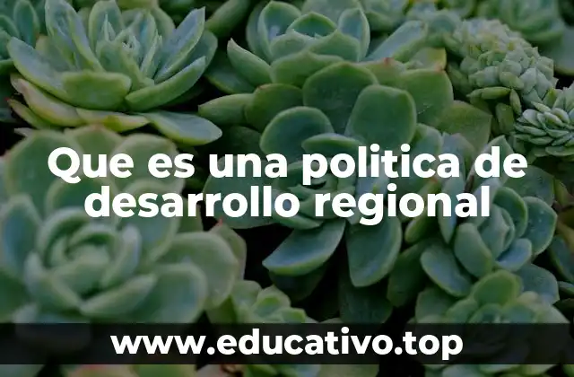 Que es una politica de desarrollo regional