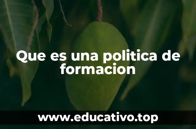 El rol de la formación en el desarrollo socioeconómico