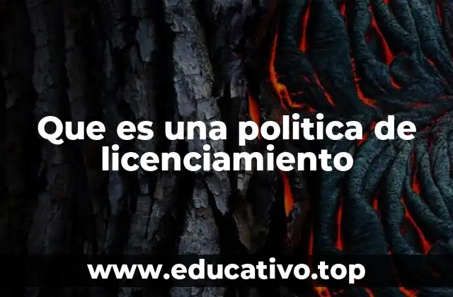 Que es una politica de licenciamiento