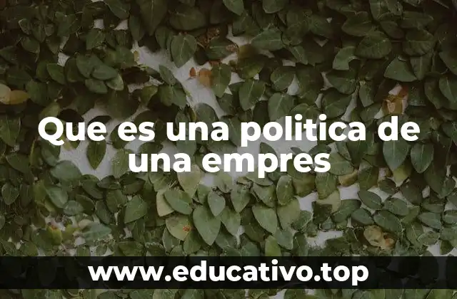 Que es una politica de una empres