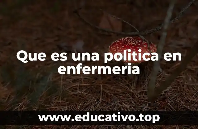 Que es una politica en enfermeria