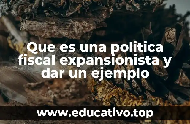 Que es una politica fiscal expansionista y dar un ejemplo