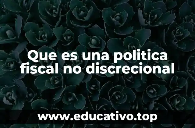 Que es una politica fiscal no discrecional