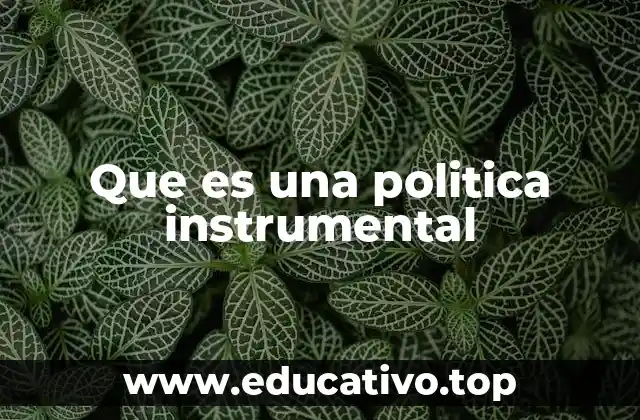 Que es una politica instrumental