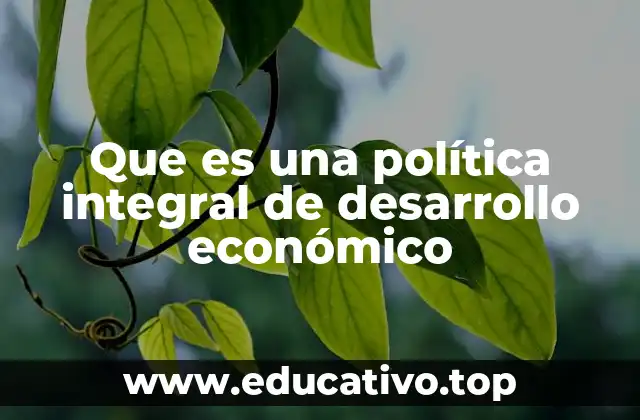 Que es una política integral de desarrollo económico