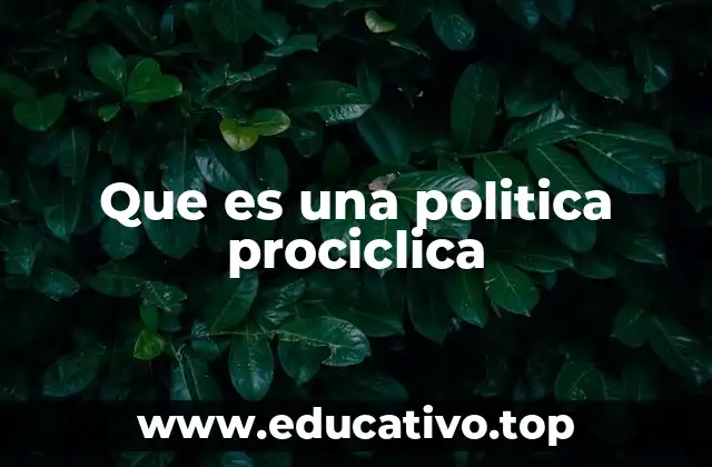 Que es una politica prociclica