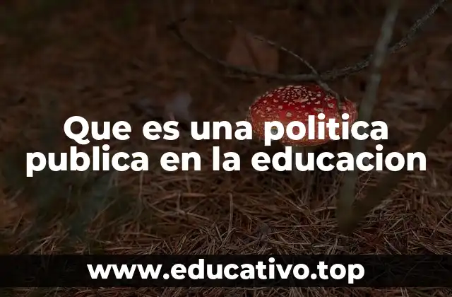 Que es una politica publica en la educacion