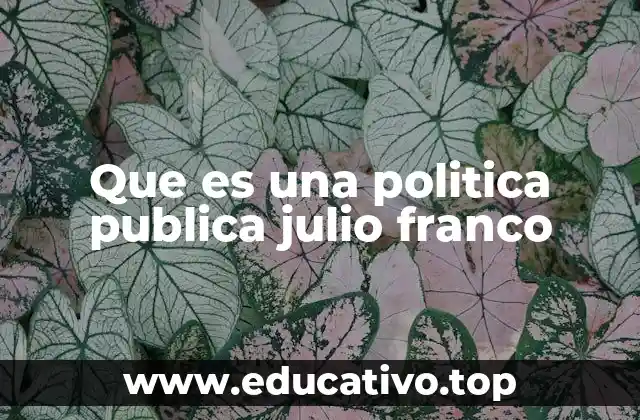 Que es una politica publica julio franco