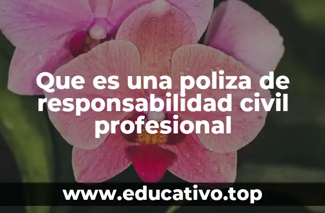 Que es una poliza de responsabilidad civil profesional
