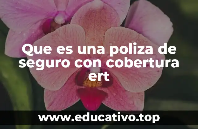 Que es una poliza de seguro con cobertura ert