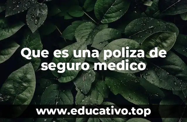 Que es una poliza de seguro medico